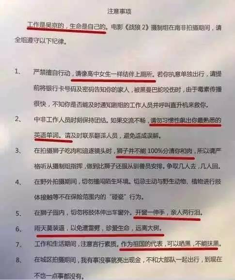 战狼2深度分析,战狼2的深度解析