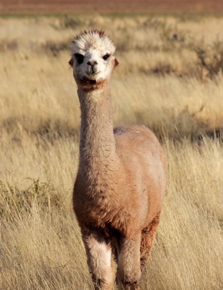 买毛线要注意什么,买毛线必须要知道的