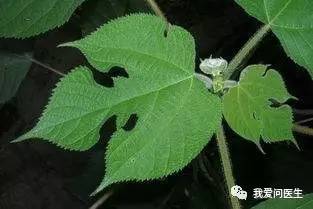 湿疹不用怕3个小妙招轻松应对,科普牢记这几招湿疹不再可怕