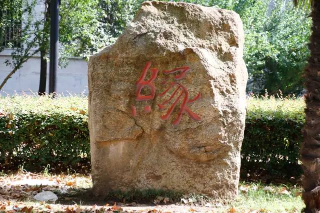 曹操当年在安徽哪个地方屯兵,曹操屯兵处在哪里