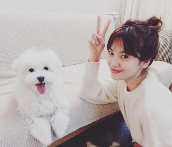 高圆圆赵又廷高甜瞬间,高圆圆赵又廷共同话题