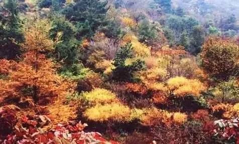 原创｜烟台一年最嗨的日子来了！即将开海，这些图却火了