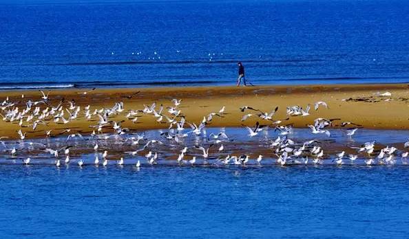 原创｜烟台一年最嗨的日子来了！即将开海，这些图却火了