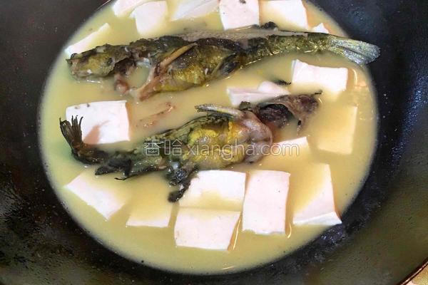 豆腐炖什么海鲜最有营养最好吃,什么海鱼炖豆腐比较好