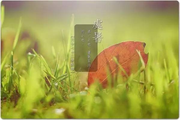 处暑节气养生问候语,今日大暑节气养生