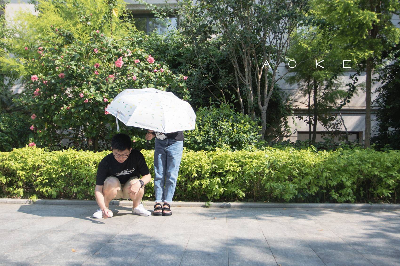 两天跑遍岛内外十几家小众饮品店，这里总有一杯你没喝过的茶