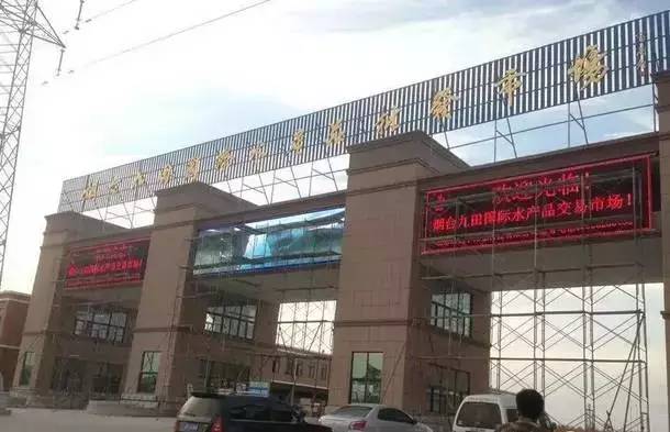 原创｜烟台一年最嗨的日子来了！即将开海，这些图却火了