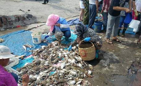 原创｜烟台一年最嗨的日子来了！即将开海，这些图却火了