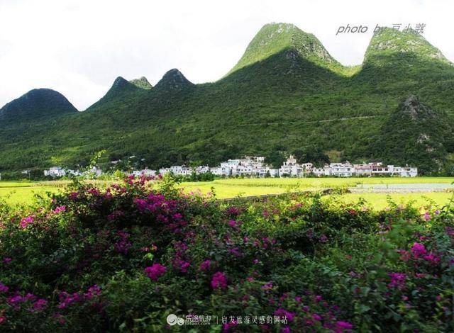 万峰林优美景色诗句,描写万峰林最美诗句