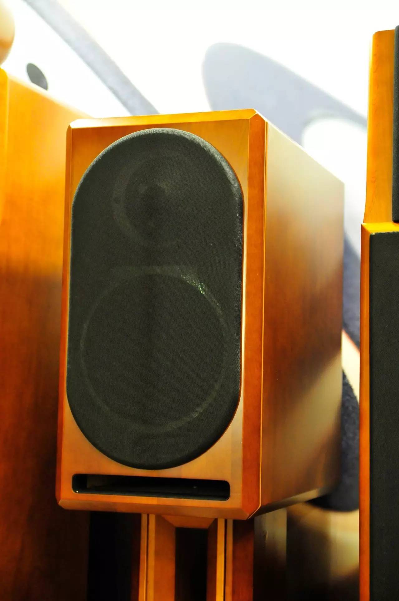 香港高级音响展,2011年香港高级视听展