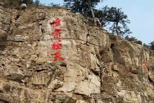 樂吧天下大同每周六发团