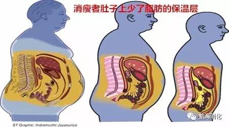 你的肠胃还好吗,你的肠胃有多强大