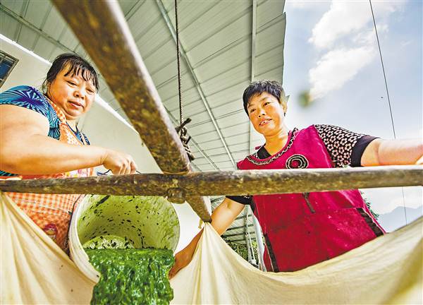 田坝村的村民要发“树叶财”就差一个手工作坊