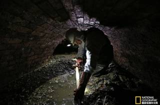 中国下水道有地沟油吗,下水道地沟油