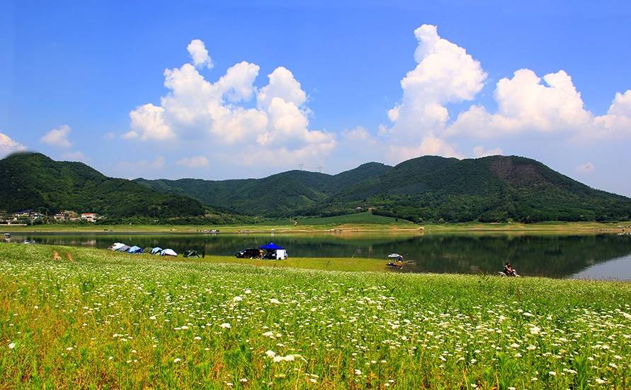 弓长岭风景的视频,弓长岭区夜景