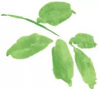 光明图刊丨梦想的起航