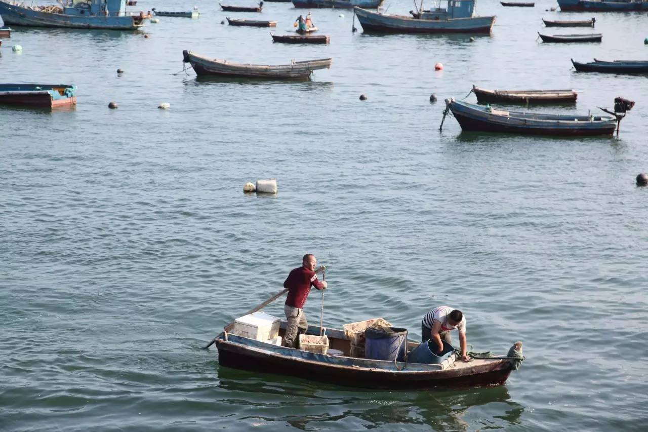 开海啦一大波生猛海鲜汹涌来袭,开海抢鲜梭子蟹