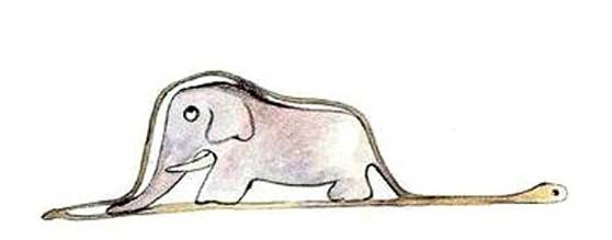 生来就是一个吃货｜浮想联翩解剖学第二弹