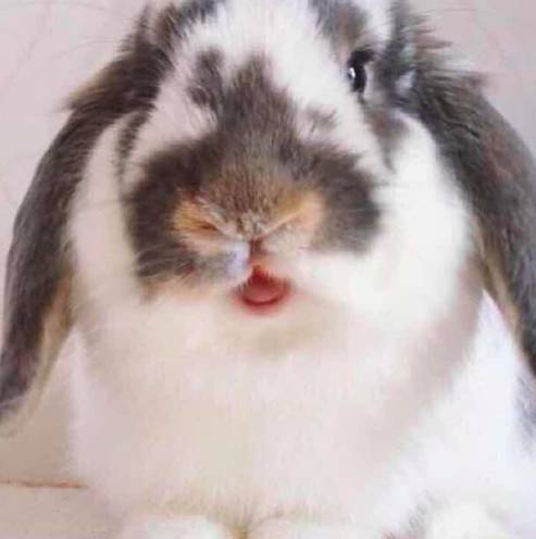 好物节福利,好东西优惠大促