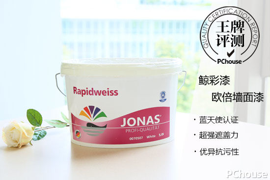 热门环保哑光墙面漆,德国鲸彩漆墙面效果