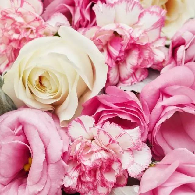 母亲节跟妈妈读书的感受,好书分享母亲节推荐