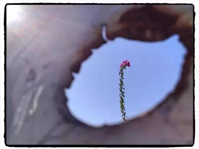 1分钟轻松搞定8个手机摄影技巧,想学一点入门的手机摄影技巧