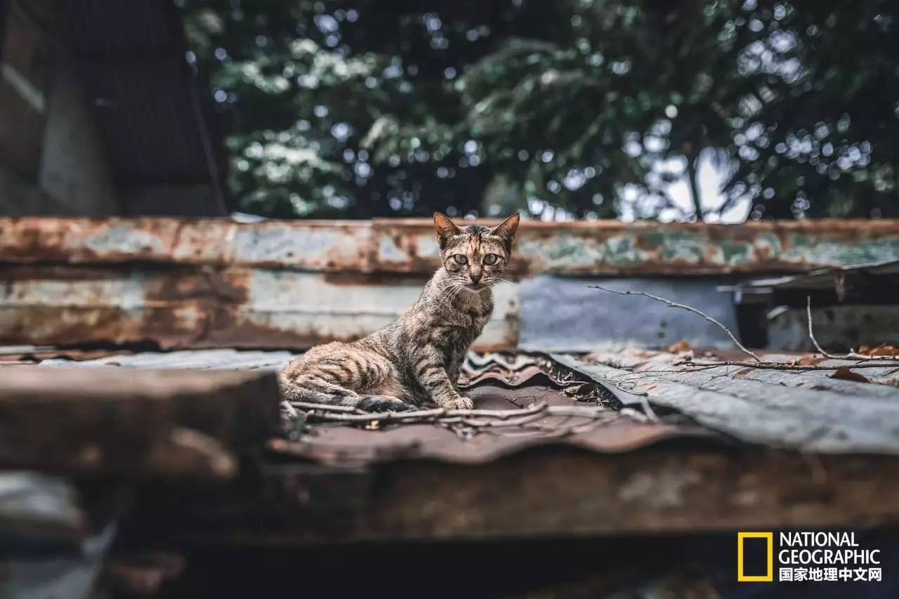 菲律宾长滩岛海滩,菲律宾长滩岛游记