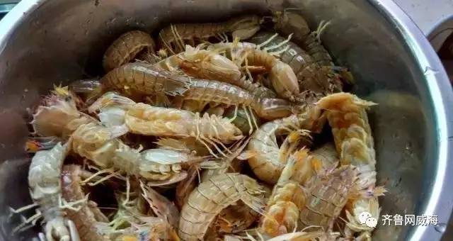 开海哪里的海鲜最便宜,威海开海适合买什么海鲜