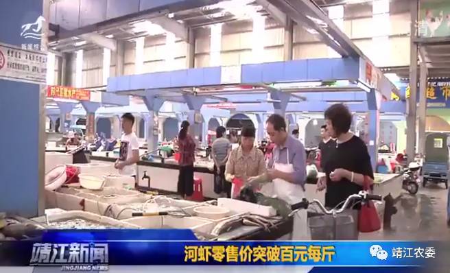 靖江渔婆菜场河虾市价,靖江河虾多少钱一斤