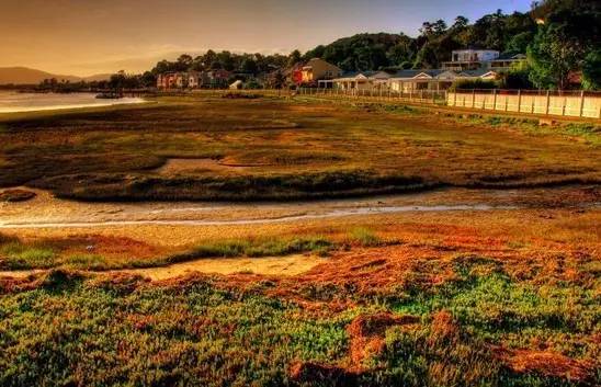 关于金砖你不知道的事,你如何看待金砖