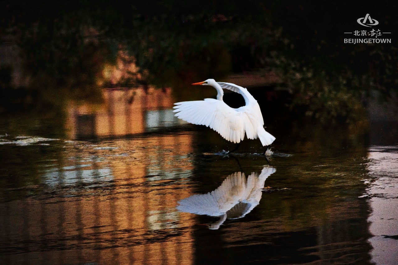 快来领取你的可爱姓氏壁纸,免费领取动态热门主题壁纸