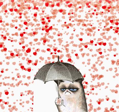 36个问题能让人坠入爱情,三十六个问题让对方爱上你