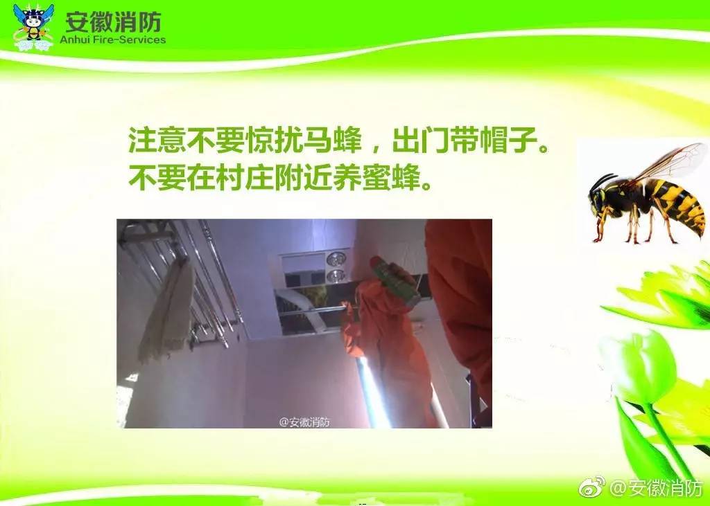居民屋檐下惊现巨型马蜂窝,居民楼惊现马蜂窝消防队员一窝端
