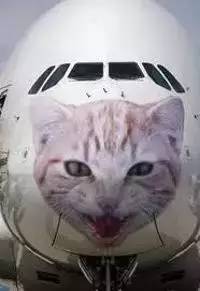 日本出事飞机竟与311大地震有关,日本航空jal123号班机坠毁事件