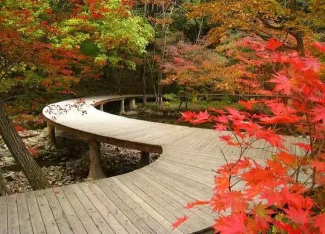 沈阳最美赏枫地最新开放,沈阳附近赏枫