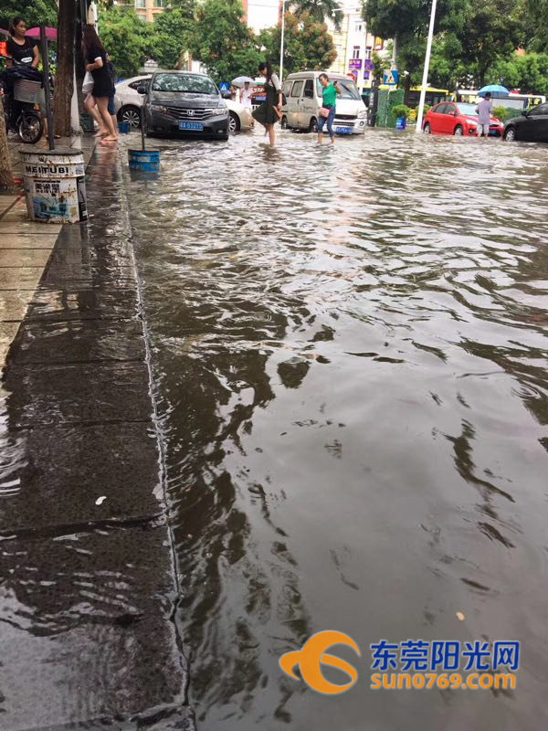 东莞市南城街道淹了没,东莞大雨哪几个镇不会被淹