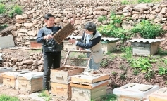 陇南市现代农业,加大投入力度促进农业高质量发展