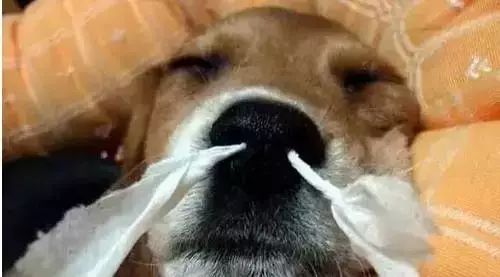 吐血整理的6条建议,神木全攻略