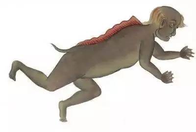 大千世界无奇不有这种鱼你见过吗,世界之大无奇不有鱼都会走路