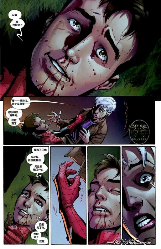 又萌又可爱的小蜘蛛你见过吗,盘点最可爱的小蜘蛛