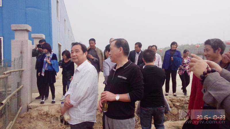 挥洒笔墨书写作品,挥洒笔墨纸砚