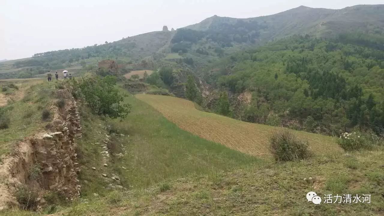 文史杂谈奇闻趣事谈古论今,文史杂说集