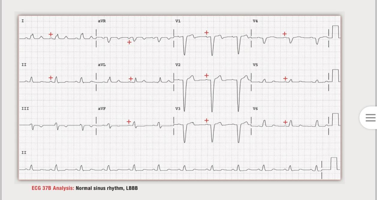 读心有术205期视频,读心有术