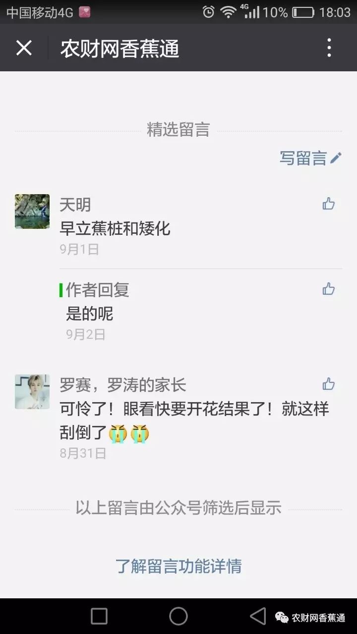 树木如何大面积抗台风,香蕉树抗台风