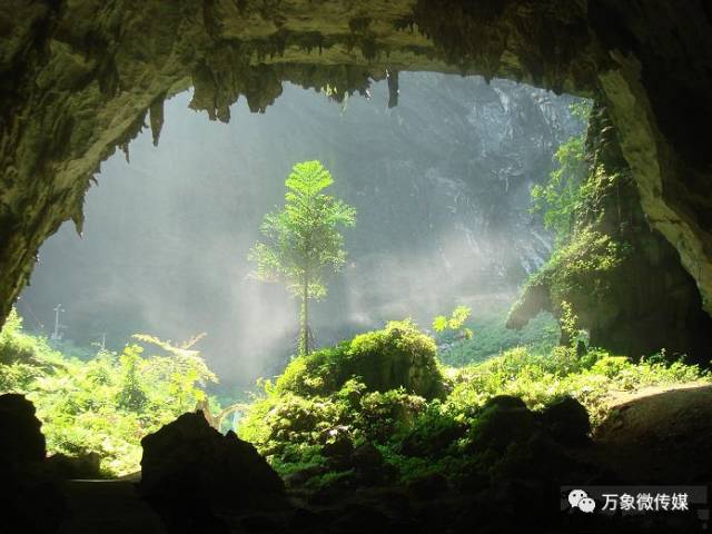 头条丨大家好！我叫巴马，这是我的简历，请多多关照！