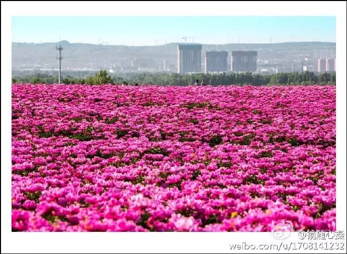大局已定还要继续努力吗,大局已定扭转乾坤