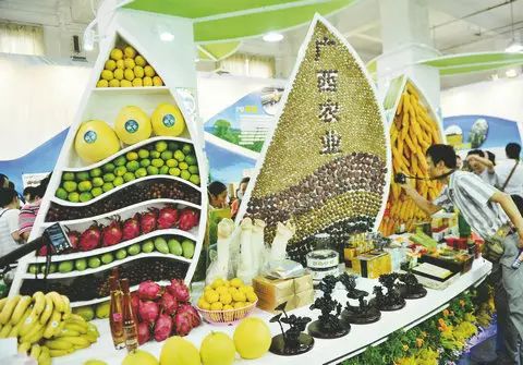 东盟博览会游览攻略,中国东盟博览会旅游展门票多少