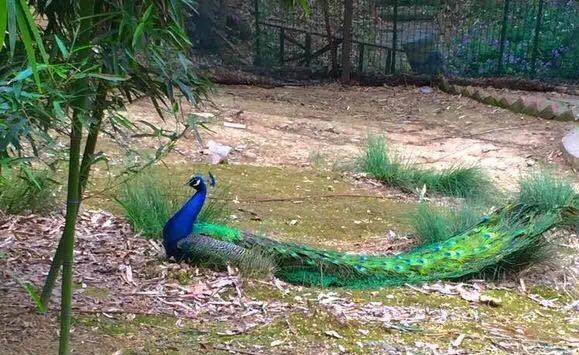 南工最美风采,南工大实力如何