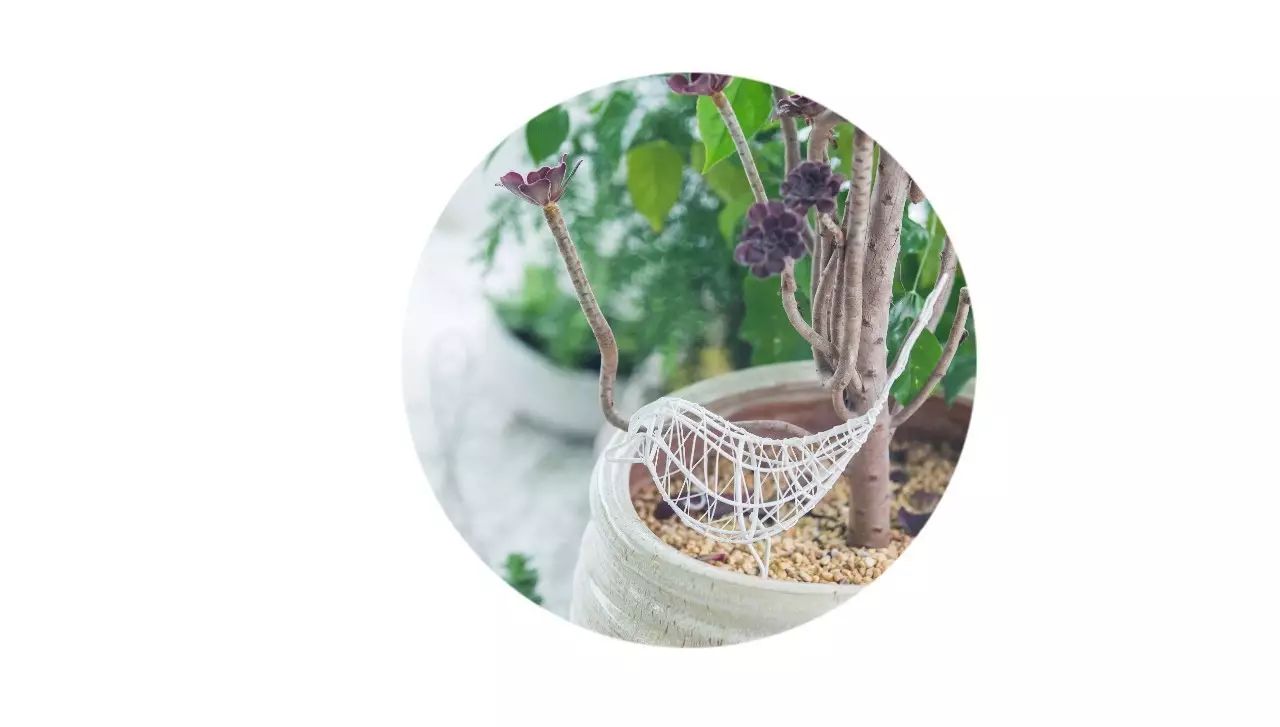 闺蜜家的房子让我羡慕,这座房子承载着我美好的记忆