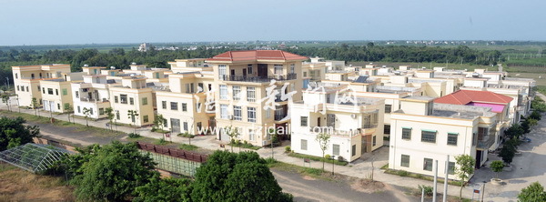 文明新风吹在居民心坎里,文明新风扑面来